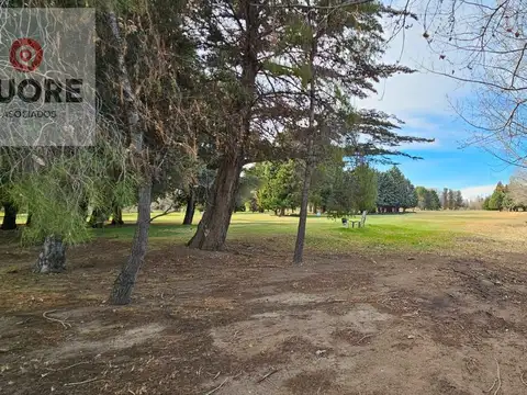 Terreno en Venta 10  mts Frente