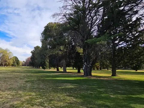 Terreno en Venta de 600,0 m2