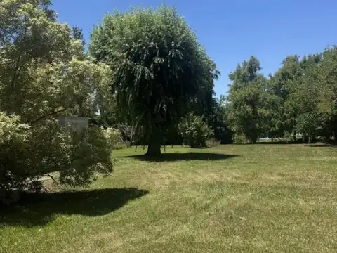 Golfer's Country Club, Antartida Argentina