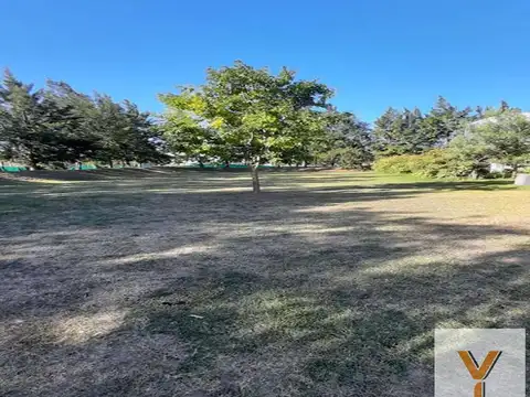 Terreno en Venta de 990,0 m2
