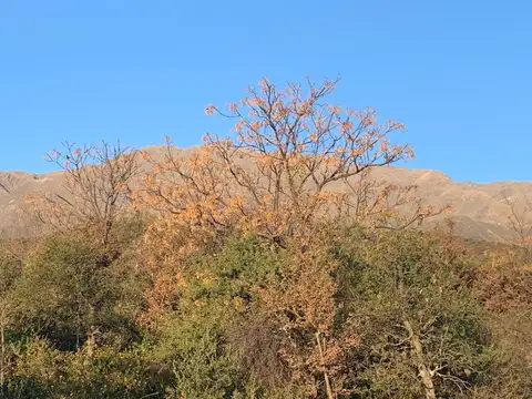 Terreno en Venta de 5200,0 m2