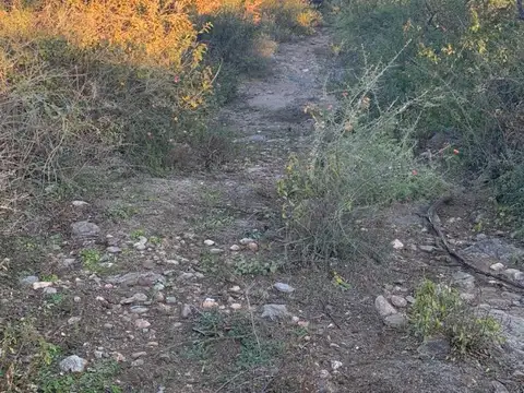 La Travesia