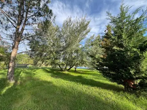 ruta 2 km 65 , Piso 0