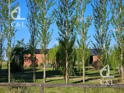 Benquerencia Farm Club 101