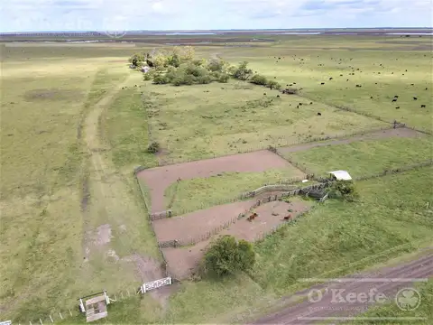 Campo en Venta - Madariaga 506 has  - Ganadero Armado.