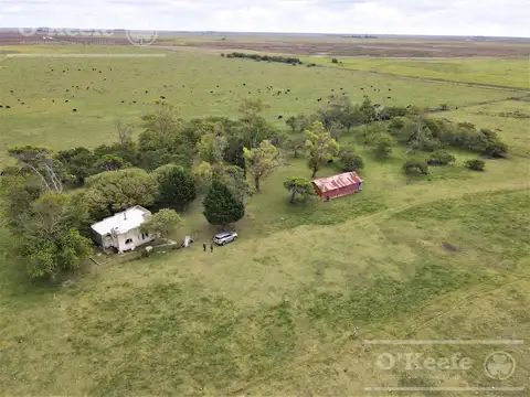 Madariaga 506 has - Campo en Venta - Ganadero Armado.