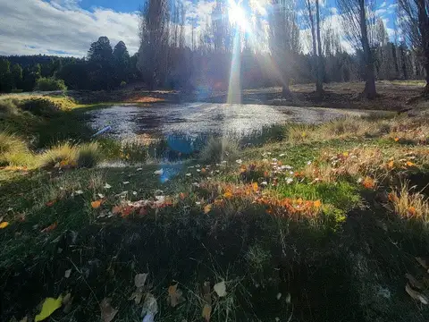 Campo en Venta Chacra