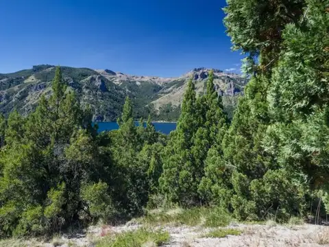 3 HECTAREAS EN MELIQUINA sobre Ruta 63