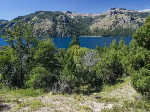 3 HECTAREAS EN MELIQUINA sobre Ruta 63