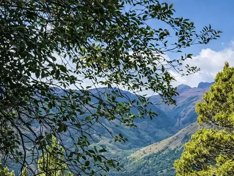 3 HECTAREAS EN MELIQUINA sobre Ruta 63