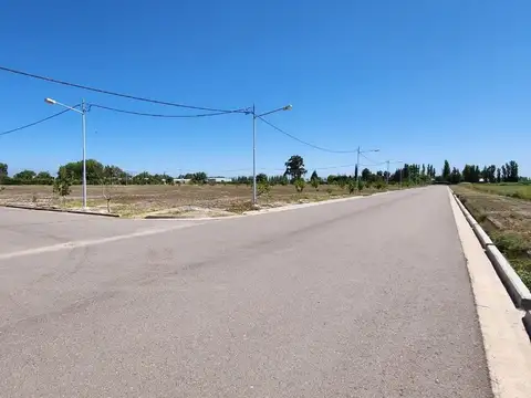 Los Salamanquinos 300