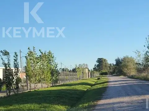 76 y 157