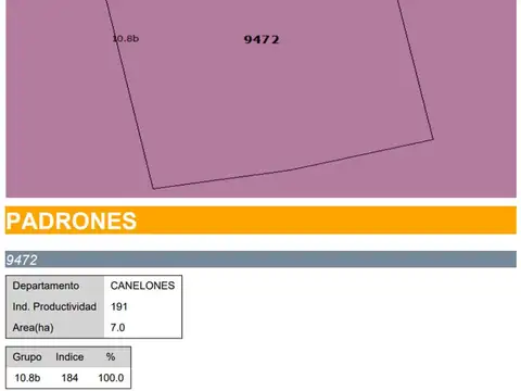 Venta Campo 7,99 Hectáreas Próximo a San Jacinto