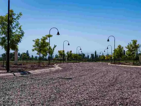 Terreno en Venta de 524,0 m2
