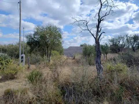 Calle N°35 35