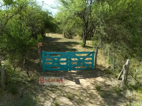 Campo 1 Ha 1,6 km de ruta 5 y 6,7 km entrada Villa de Merlo