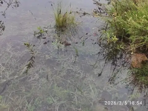 Terrenos en venta sobre Dique La Huertita en San Luis
