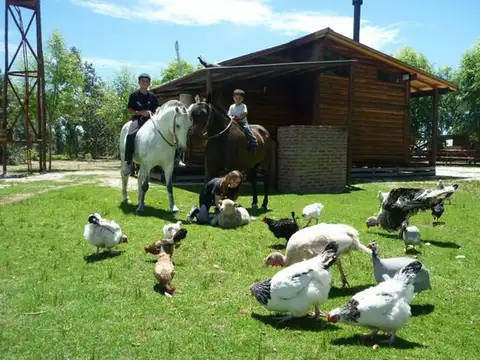Campo en Venta de 6  ha