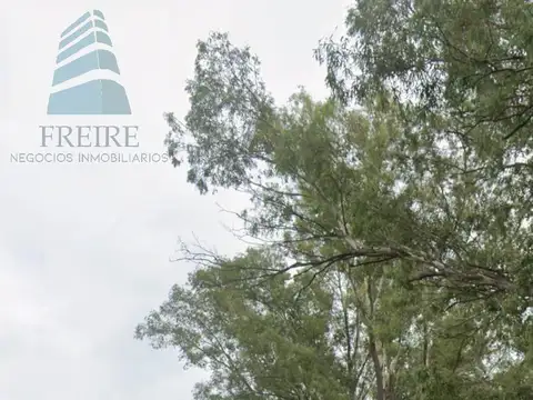 VENTA 12 hectareas, para desarrollo Industrial | ZARATE