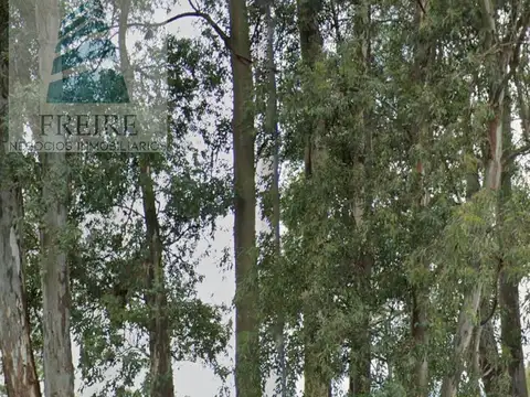 Terreno en Venta en Zárate, USD 700.000