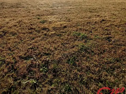 Lote en venta  Del Viso