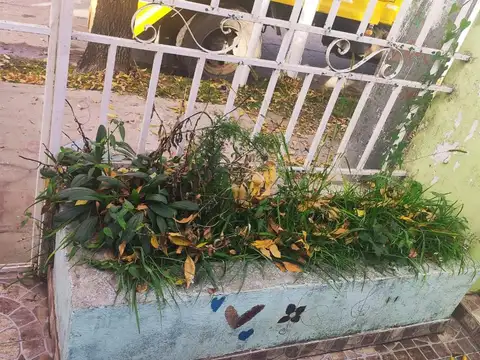 Remedios Escalada 400