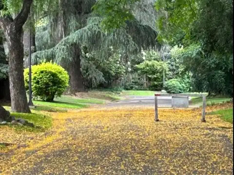 Avenida Benavídez 1100