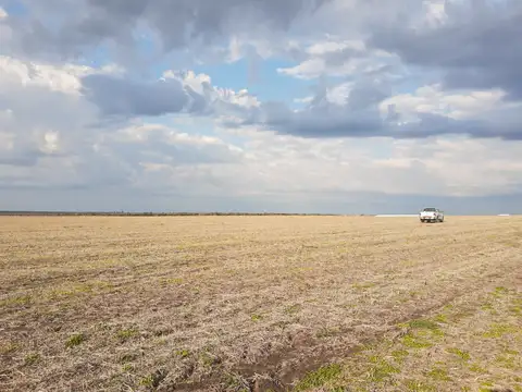 Campo en Venta con Alambrado