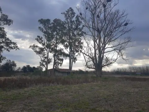 215 has campo agrícola ganader