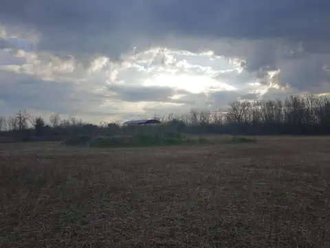 Campo en Venta de 215  ha