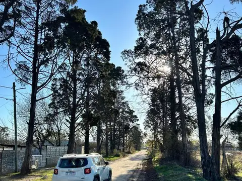 Calle 7, Villa La Donosa