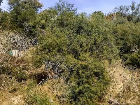 Terreno en Venta 43  mts Fondo