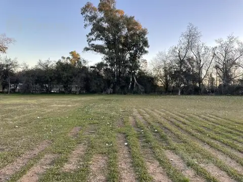 Campo 6 Hectareas con Casa - Trujuy, Moreno