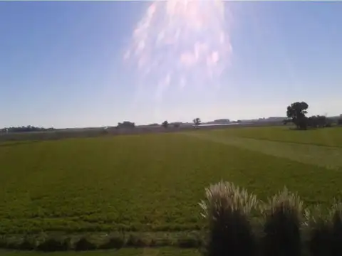 Campo Ranchos, Ruta 29, Pdo. Gral Paz, 225 has.