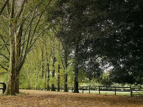 Terreno en Venta de 790,0 m2