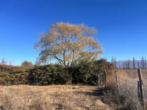 Terreno en Venta de 1388,0 m2