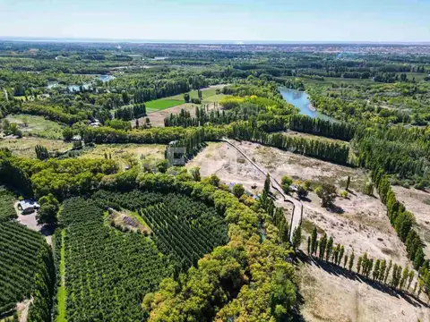 VENTA CHACRA 5HAS MARGEN RIO NEUQUEN, CENTENARIO