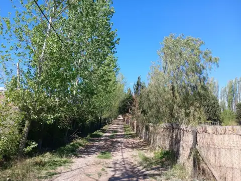 Terreno en Venta en Perdriel, USD 20.000