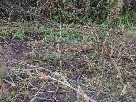 Campo en venta