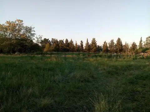 Campo en venta