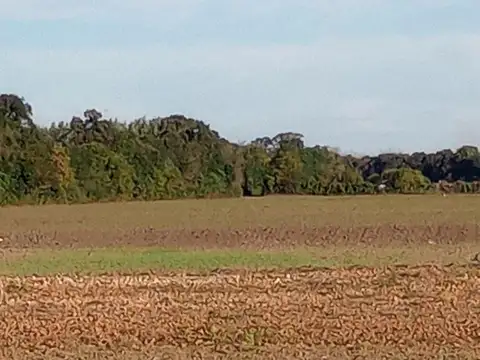 VENTA HECTAREAS CAMINO 60 CUADRAS