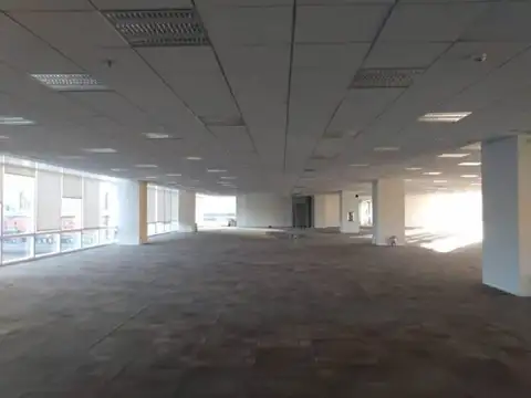 Cecilia Grierson al 300