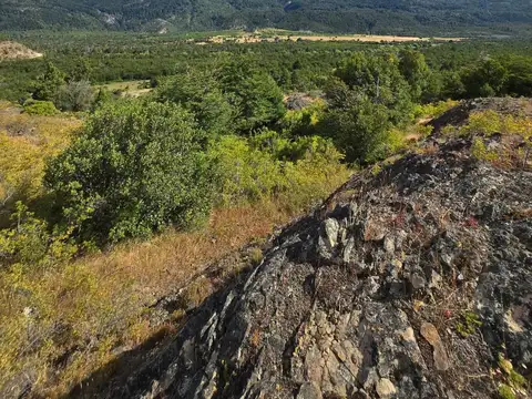 Campo de 220 has con costa de Río Carrileufu