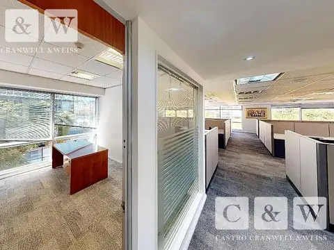 Olga Cossenttini al 300