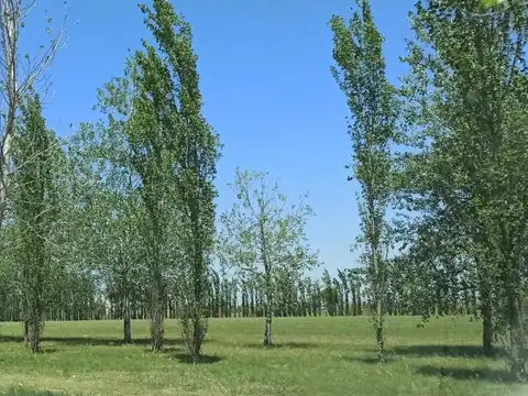 Terreno en Venta en Fisherton, USD 100.000