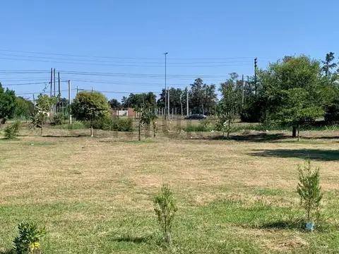 520 e/ 147 y 149 100