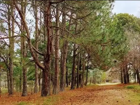 Terreno en Venta en Parque Exaltación, USD 38.000