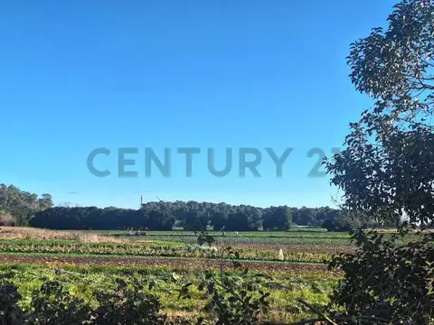 CAMPO EN ARANA - 8,8 HECTÁREAS CON VIVIENDA Y GALPONES A LA VENTA!