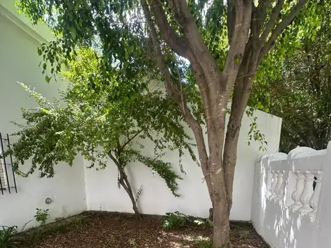 Casa en Alquiler de 2 dormitorios