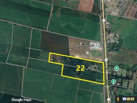 Ruta 9 km 1281, San Andrés, Dpto. Cruz Alta, Tucumán